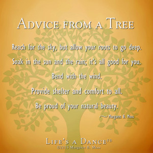 Advice from a tree3